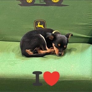 Meet your Posher, Gwen